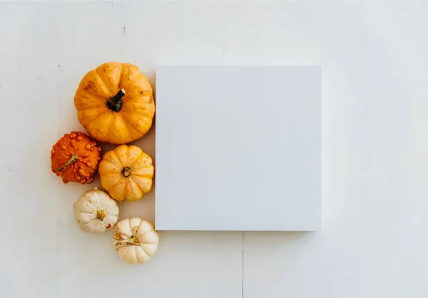 Prázdný Rám Podzimní Dýňovou Výzdobou Bílé Dřevěné Podlaze Minimální Byt Royalty Free Stock Obrázky