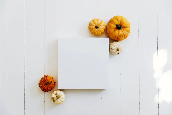 Prázdný Rám Podzimní Dýňovou Výzdobou Bílém Dřevěném Royalty Free Stock Obrázky