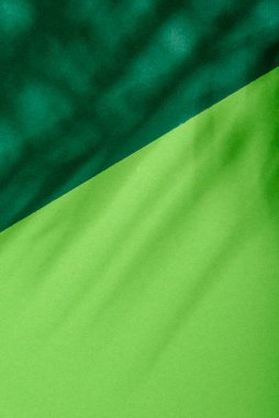 Tropik palmiye yaprağı gölgesi olan pastel renk arkaplan. Egzotik bitki gölgesi yaz yerleşimine sahip canlı yeşil kağıt dokusu. Botanik silueti ile en düşük düzlük.