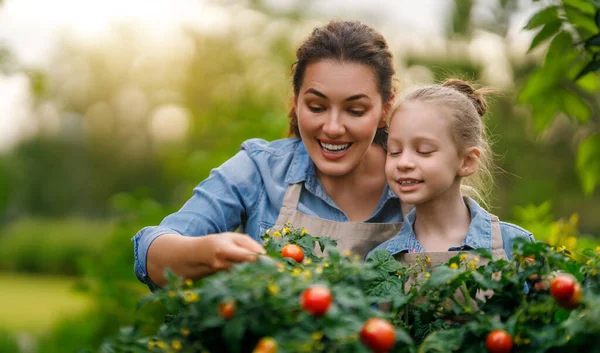 Szczęśliwa Matka Córka Ogrodnictwo Podwórku Kid Pomaga Mamie Uczy Się — Zdjęcie stockowe