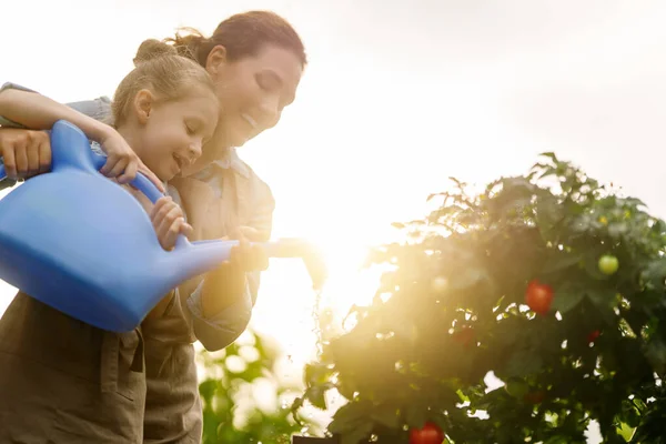 快乐的母亲和女儿在后院种花 小孩帮妈妈学植物学 — 图库照片