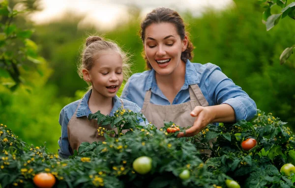 Счастливые Мать Дочь Садоводства Заднем Дворе Ребенок Помогает Маме Учится — стоковое фото