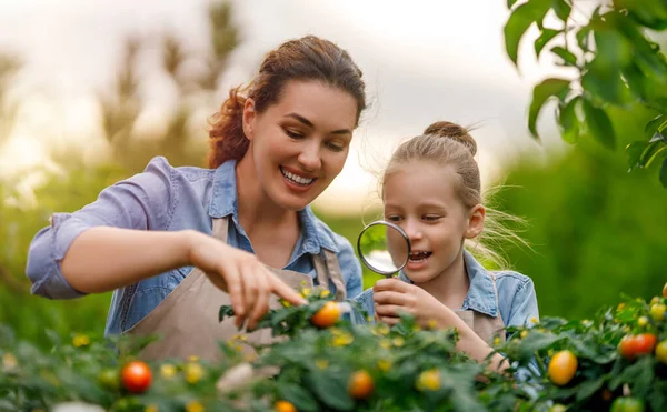 Happy Mother Daughter Gardening Backyard Kid Helping Her Mom Learning — Stock Photo, Image