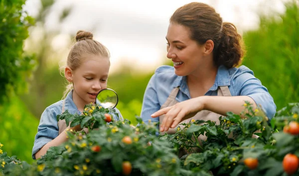Happy Mother Daughter Gardening Backyard Kid Helping Her Mom Learning — Stock Photo, Image