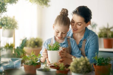 Sevimli bir kız çocuğu annesine bitkilerle ilgilenmesi için yardım ediyor. Anne ve kızı evde bahçe işleriyle uğraşıyorlar. Baharda mutlu bir aile.