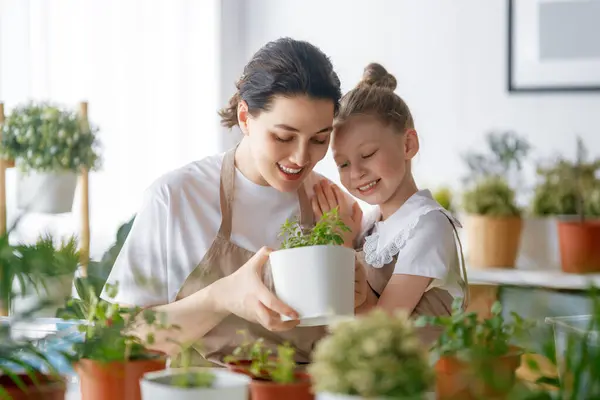 Menina Bonito Ajudando Sua Mãe Cuidar Plantas Mamãe Sua Filha Imagens De Bancos De Imagens Sem Royalties