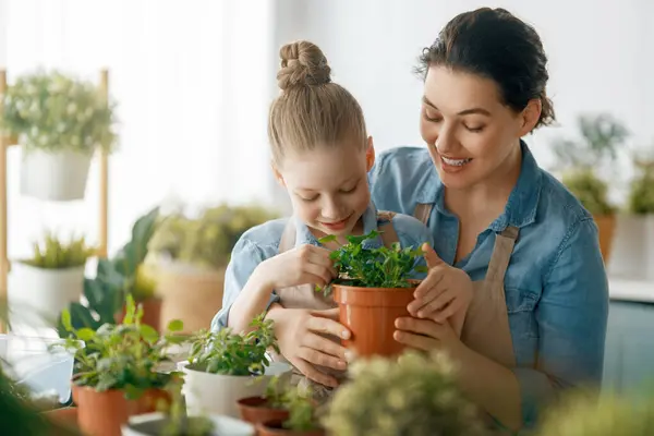 Menina Bonito Ajudando Sua Mãe Cuidar Plantas Mamãe Sua Filha Imagens De Bancos De Imagens