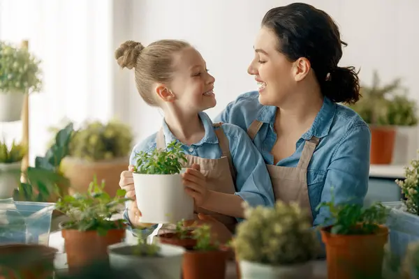 Schattig Kind Meisje Helpt Haar Moeder Voor Planten Zorgen Mam Stockafbeelding