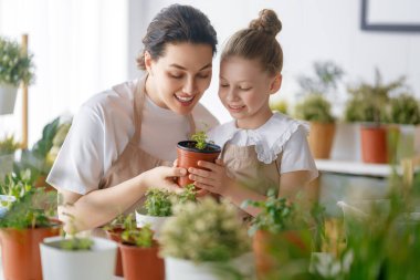 Sevimli bir kız çocuğu annesine bitkilerle ilgilenmesi için yardım ediyor. Anne ve kızı evde bahçe işleriyle uğraşıyorlar. Baharda mutlu bir aile.