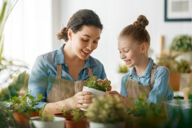 Sevimli bir kız çocuğu annesine bitkilerle ilgilenmesi için yardım ediyor. Anne ve kızı evde bahçe işleriyle uğraşıyorlar. Baharda mutlu bir aile.