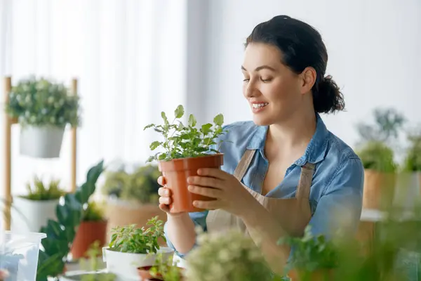 Woman Caring Plants Home Spring Day — Stock Photo, Image