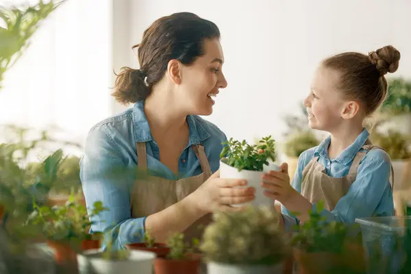 Menina Bonito Ajudando Sua Mãe Cuidar Plantas Mamãe Sua Filha Fotografia De Stock