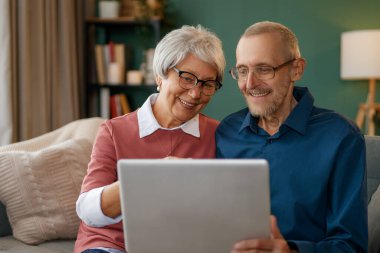 Neşeli son sınıf çifti evdeki koltukta dizüstü bilgisayar kullanıyor..