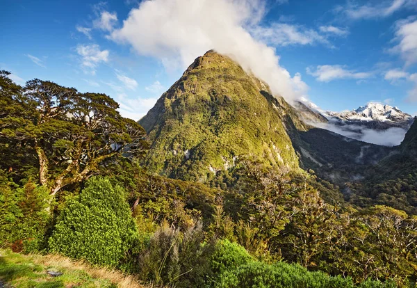 Krajobraz Górski Parku Narodowego Fiordland Nowej Zelandii — Zdjęcie stockowe