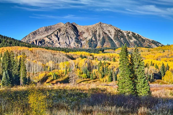 East Beckwith Mountain Kebler Pass Gunnison National Forest West Elk — 스톡 사진