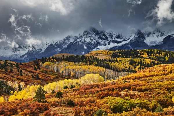 Горы Сан Хуан Осенних Цветах Вид Горного Перевала Даллас Дивайд — стоковое фото