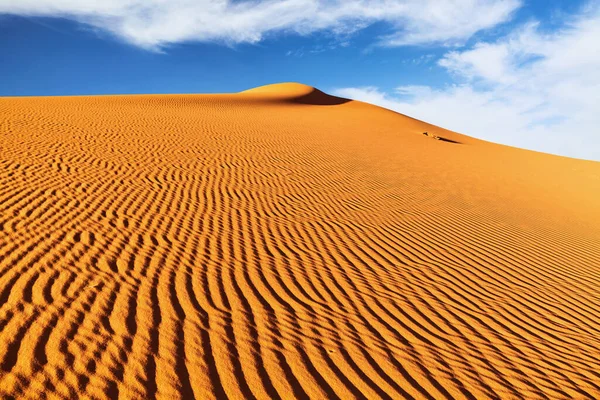 Большие Песчаные Дюны Пустыни Сахара Алжире — стоковое фото