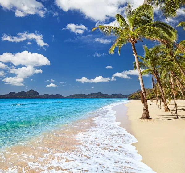 天堂热带海滩 有棕榈树和清澈的大海 — 图库照片