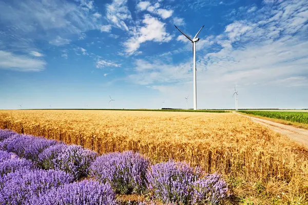 Paesaggio Con Turbine Eoliche Tra Campi Agricoli Nella Campagna Bulgara — Foto Stock