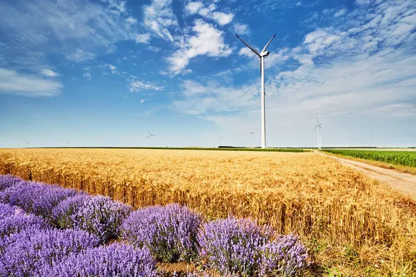 ブルガリアの田舎の農業分野の風力タービンとの風景 ロイヤリティフリーのストック画像