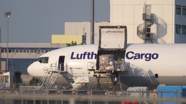 Frankfurt Main Germany July 2017 Loading Cargo Compartment Lufthansa Aircraft — Wideo stockowe