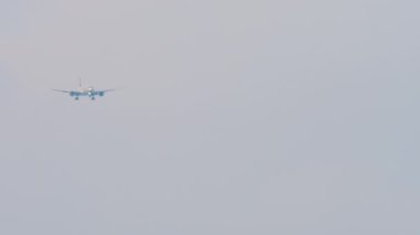 Footage long shot of passenger jet plane landing over the sea in Sochi airport. Tourism and travel concept