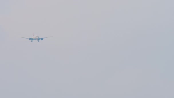 ソチ空港の海に着陸する旅客機の長いショットの映像 観光と旅行のコンセプト — ストック動画