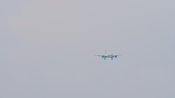 Front View Passenger Jet Plane Approaching Landing Sea Sochi Airport — Stock Video
