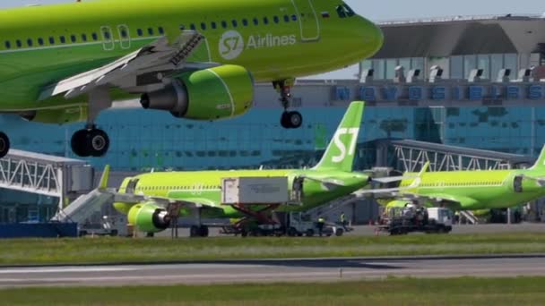 Novosibirsk Russian Federation Juny 2022 Airbus A320 73407 Airlines Landing — Stockvideo