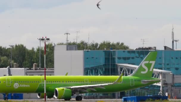 Novosibirsk Russian Federation July 2022 Airbus A321 271N 73442 Airlines — Stockvideo