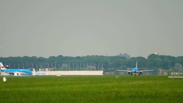 オランダ アムステルダム 2017年7月27日 アムステルダムのスキポール空港での離陸を加速するKlm航空のジェット飛行機 観光と旅行のコンセプト — ストック動画
