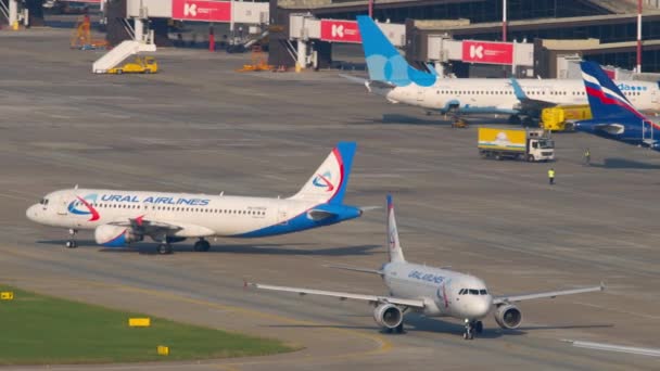 Sochi Russia August 2022 Long Shot Passenger Plane Ural Airlines — Wideo stockowe