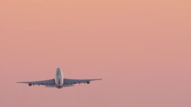 Widebody aircraft climb after takeoff, sunset pink sky. Jumbo jet departure, rear view