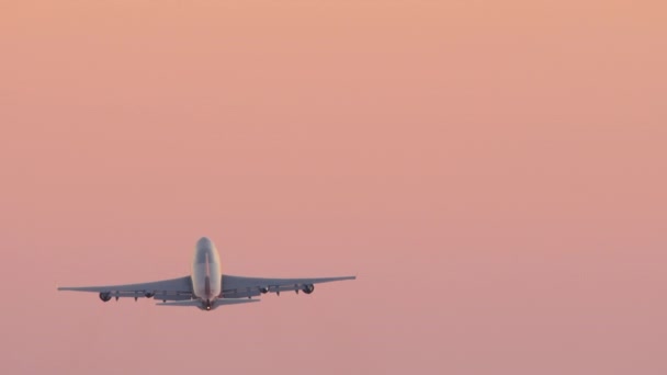離陸後 ワイドボディ航空機の上昇 日没のピンクの空 ジャンボジェット出発 リアビュー — ストック動画
