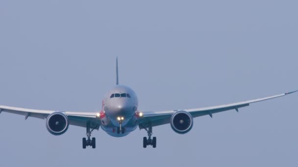 Front View Footage Jet Plane Fly Approaching Landing Airliner Landing — Video