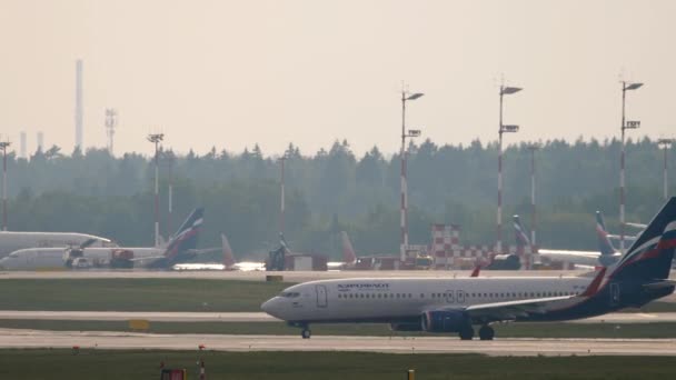 Moscow Russian Federation July 2021 Boeing 737 Bcf Aeroflot Taxiing — Αρχείο Βίντεο