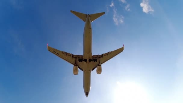Пхукет Таиланд Января 2023 Года Boeing 737 Malaysia Airlines Лет — стоковое видео