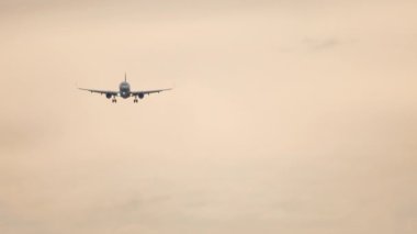 Long shot of jet plane approaching to landing. Airliner flies, front view. Tourism and travel concept