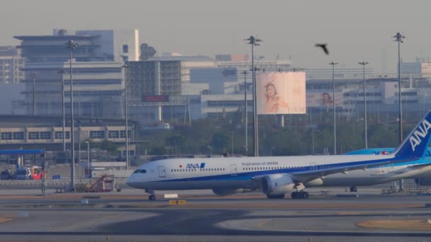 Bangkok Thailand January 2023 Dreamliner Ana Taxiing Suvarnabhumi Airport Side — Vídeos de Stock