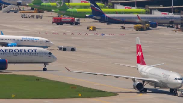 Sochi Russia July 2022 Airbus A330 Nordwind Airlines Taxiway Sochi — Stockvideo