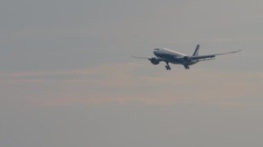 PHUKET, THAILAND - JANUARY 31, 2023: Long shot of Airbus A330 of Sunclass Airlines landing approach to Phuket airport. Airplane and sky background with pink clouds. Tourism and travel concept