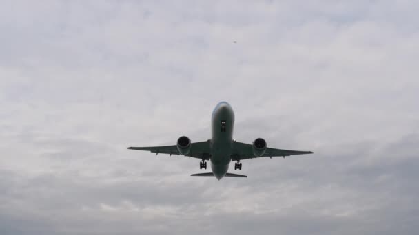 タイのプーケット 2023年2月1日 プーケット空港でのTui着陸のボーイング787ドリームライナー 飛行機の頭上だ 航空会社を背景にビーチで写真を撮る観光客 — ストック動画