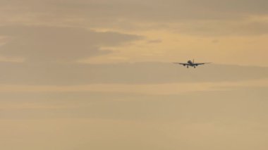 İniş için uçak yaklaşıyor. Güzel pembe gökyüzünde bir uçak. Gün batımında ya da gün doğumunda uçak. Turizm ve seyahat konsepti. Uçak Silueti
