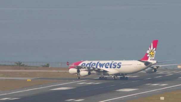 Phuket Tailandia Febrero 2023 Avión Comercial Airbus A340 Jmd Edelweiss — Vídeos de Stock
