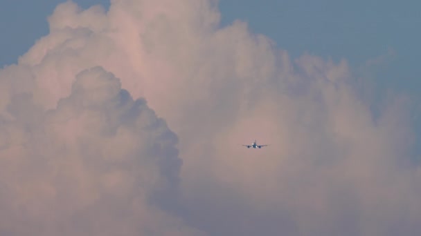 飛行機雲の空の土地に近づいています 飛行機 航空会社 旅客便 曇り空を背景に飛行機が飛ぶ — ストック動画