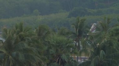 PHUKET, THAILAND - NOVEMBER 27, 2019: Widebody aircraft Boeing 777 of Qatar Airways braking after landing at Phuket airport. Jet plane arrival. Flaps up. Tourism and travel concept, air flight