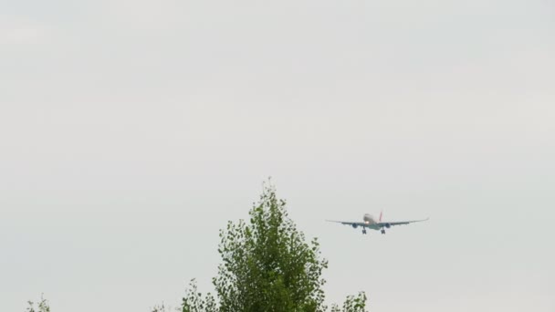 Сочи Россия Августа 2022 Года Приближается Посадка Airbus A330 73328 — стоковое видео