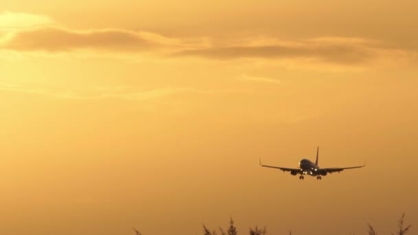 Samolot Zbliża Się Lądowania Samolot Piękne Wieczorne Niebo Tło Pochmurnego — Wideo stockowe