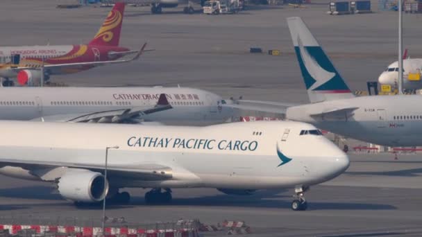 Hong Kong Kasım 2019 Hong Kong Havaalanında Cathay Pacific Kargo — Stok video