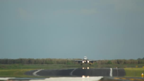Shot Letadlo Přistávající Dotýkající Brzdící Letadlo Přijíždí Klapky Nahoru Přidejte — Stock video
